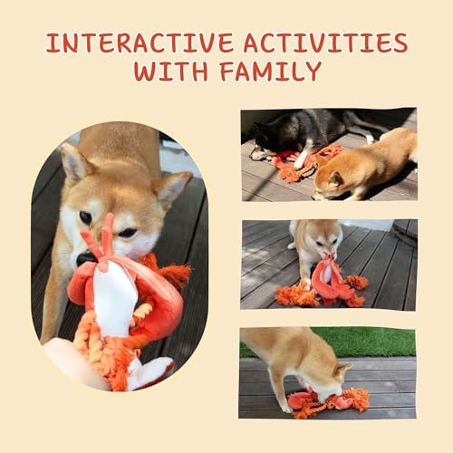 Squeaky Dog Toys, Rope Tug of War Dog Toys, Durable Lobster Plush Chew Toys, Dog Gifts for Puppy, Small Medium Large Dogs