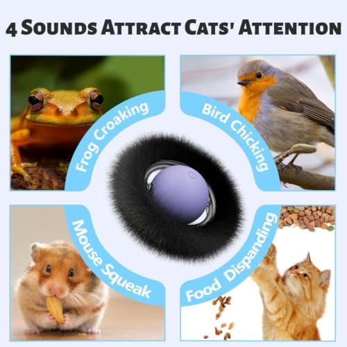 Interactive Cat Toy Ball-Automatic Motion Activated Moving Ball Toys