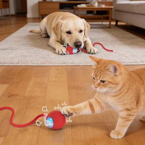Cat Toy, Electric Interactive Toys for Indoor Cats, Red