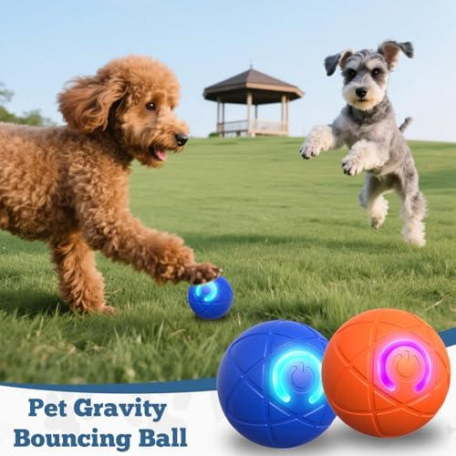 2 PCS Interactive Dog Ball, [2026 Newly Upgraded] Automatic Moving & Bouncing Dog Toy to Keep Them Busy,Pet Vibrating Ball for Dogs/Cats, Durable Pet Balls for Small&Medium Dogs(Blue & Orange)