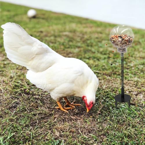 Oooct 2 Pack Chicken Peck Toy - Chicken Enrichment Toys with Swing Feeder & Slow Feeder for Hens, Ducks, Parrots