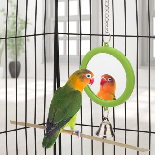 Hypeety Bird Mirror Toy with Bell Interactive Parrot Hanging Mirror, Green