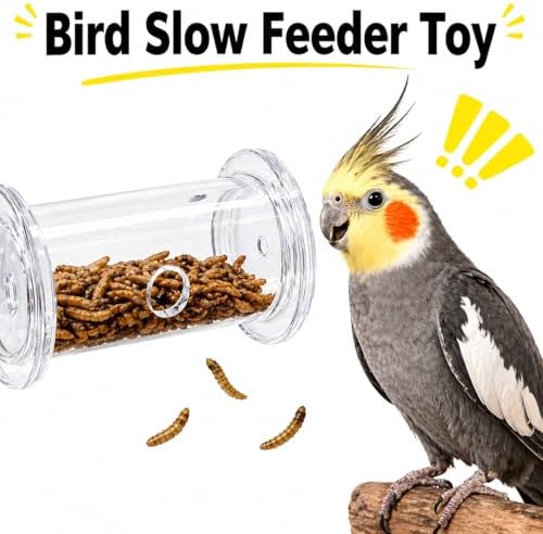 Bearded Dragon Toy - Reptile Enrichment Interactive Feeder Toy