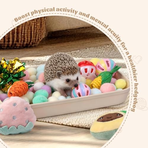 Hedgehog Accessories, Dig-Box Tray for Hedgehog Cage with Ball Toy, Small Animal Accessories Funny Dig-Box Tray Toys for Hedgehogs, Ball Bell Toy for Ferret Kitten Cat Hamster (Colorful)