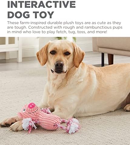 Outward Hound by Charming Pet Ranch Roperz Pig Plush Squeaky Dog Toy