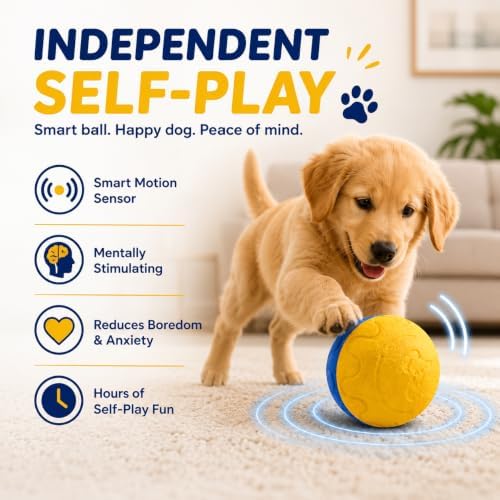 Smart EVA Motion Activated Self Play Bouncing Interactive Electric Automatic Moving Enrichment Dog Chase Teaser Ball Toys Rechargeable Mental Brain Stimulation for Small Medium Large Dogs to Keep Busy