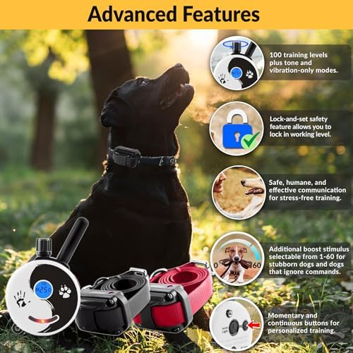E-Collar Educator ZEN-302 Dog Training Collar with Remote, 2 Dogs
