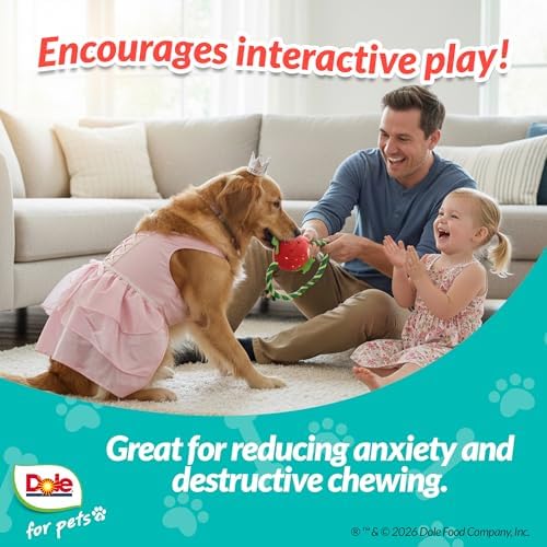 Dog Rope Toy with Squeakers, Strawberry Tug of War Dog Toy, Tough Cotton Rope Toys for Dogs, Aggressive Chew Toys for Medium Dogs