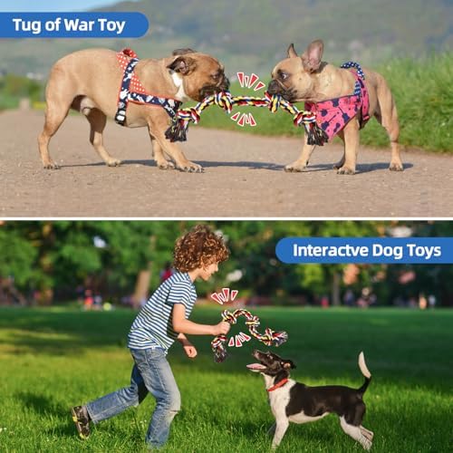 QDAN Dog Rope Toys for Aggressive Chewers, Indestructible Dog Toy, Tough Cotton Chew Toy for Medium Large Dogs