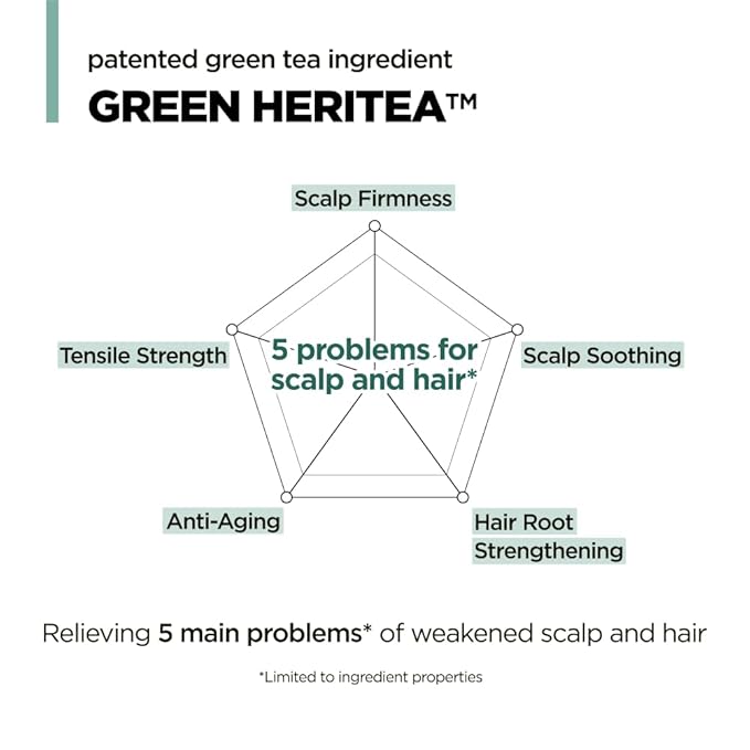 AMOS PROFESSIONAL The Green Tea Shampoo Refresh for Thinning Hair, Korean Shampoo for Oily Scalp l Deep Cleans, Strengthening Hair, All Hair Types, 16.9 fl. oz.