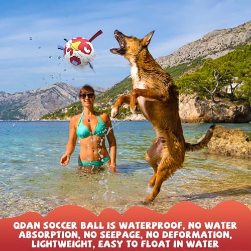 QDAN Large Dog Toys Soccer Ball, 8 Inch Herding Dog Balls for Large Dogs