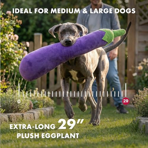PetLou 29 Inch Fresh Food Eggplant Plush Dog Toy for Soft Chewers, Extra-Long Squeaky & Crinkle Dog Toy, Super Soft Stuffed Anti-Boredom Pet Plush Toy