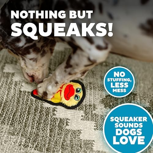 Outward Hound Durablez Minis Tough Chew Plush Squeaky Dog Toy, Duck, 6"