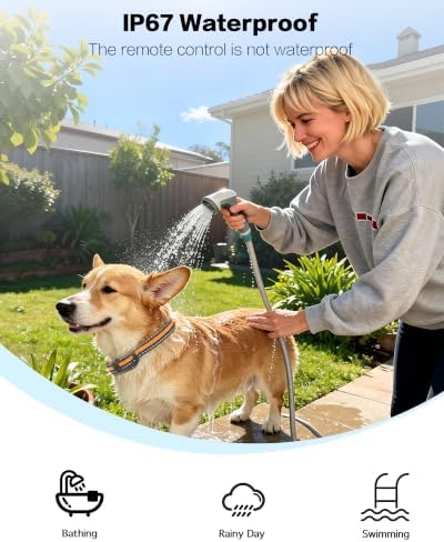 Shock Collar for Small Dogs, IP67 Dog Training Collar with Remote 8-120lbs