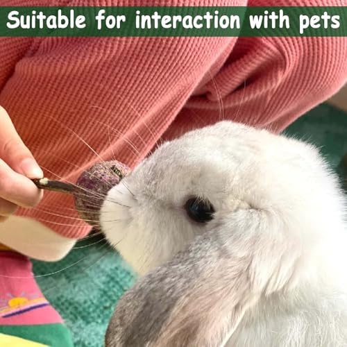 kathson 16PCS Rabbit Timothy Hay Treats Sticks,Interactive Bunny Lollipop Chew Sticks,Natural Guinea Pigs Chewing Treats Molar Teeth Toys for Small Animals,Chinchilla,Hamster,Gerbil