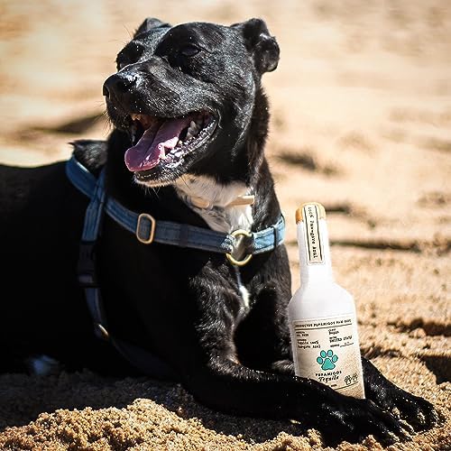 Bark Bros - Liquor Bottle Dog Toy - Plush Squeaky Dog Toys Funny Drink Parody - Alcohol Dog Toy - Dog Birthday Toy - Cute Dog Toys - Puppy Gifts - Puppy Stuff - Dog Stuff (Large, Pupamigos)