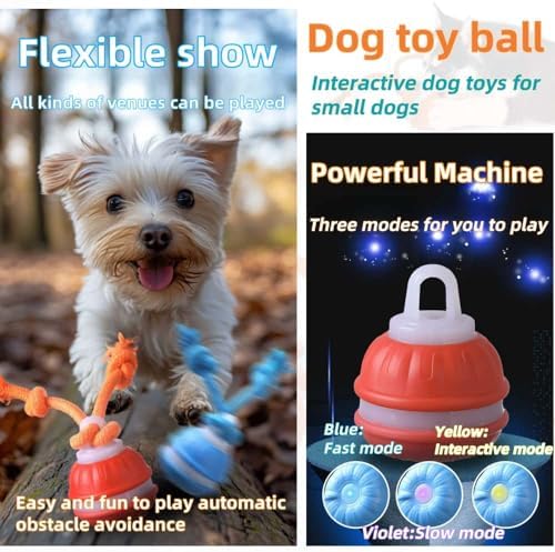 Interactive Dog Toys, Squeaky Dog Toys, Active Rolling Ball for Puppy and Medium Dogs, Squeaky, USB Rechargeable (Orange+Blue)