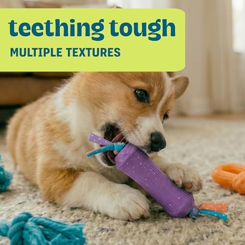 Flex-Force Chew Dog Toys, Multiple Textures & Scents for Sensory Play, Moderate Chewers, Teething Puppies and Small Breeds up to 25 lbs, 3-Pack, 7.7"