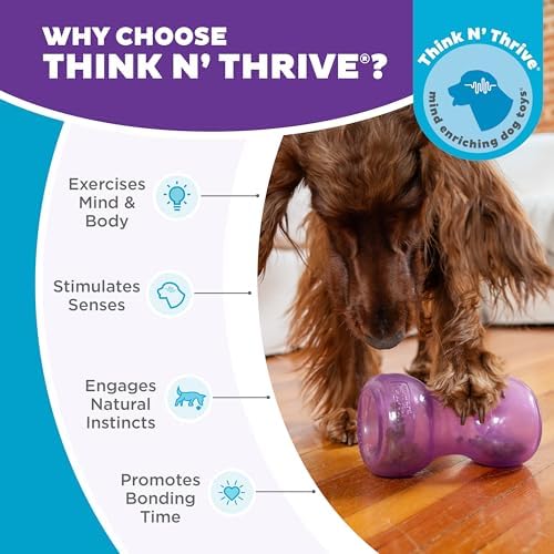 Outward Hound Double Snoop Interactive Treat Dispensing Dog Toy, Purple, 6" | Rolls & Bounces, Treat Stuffer, Puzzle Ball & Slow Feeder, Enrichment, Mint Scented, Easy Clean, No BPA, Medium to Large Dogs