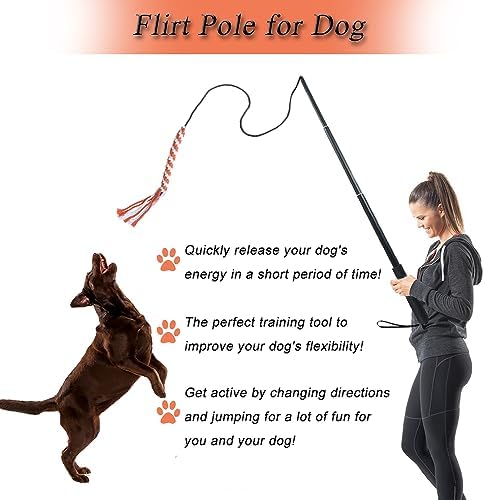 Flirt Pole for Dogs, Interactive Dog Toys for Dog Chase and Tug of War, Dog Teaser Wand with 3 Fleece Rope Chew Toy, Pet Flirt Stick Pole for Small Medium Large Dogs Training Exercise