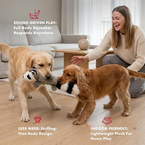 PetLou 01011 EZ Squeakers Dog Chew Toy,11-inch Raccoon