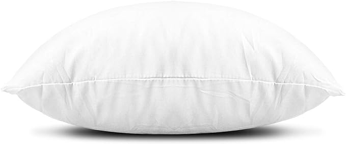 EDOW Throw Pillow Inserts, Set of 4 Lightweight Down Alternative Polyester Pillow, Couch Cushion, Sham Stuffer, Machine Washable. (White, 20x20)