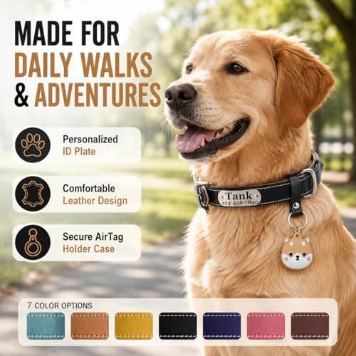 Personalized Genuine Leather Dog Collar with Name Phone Number-Black-XL