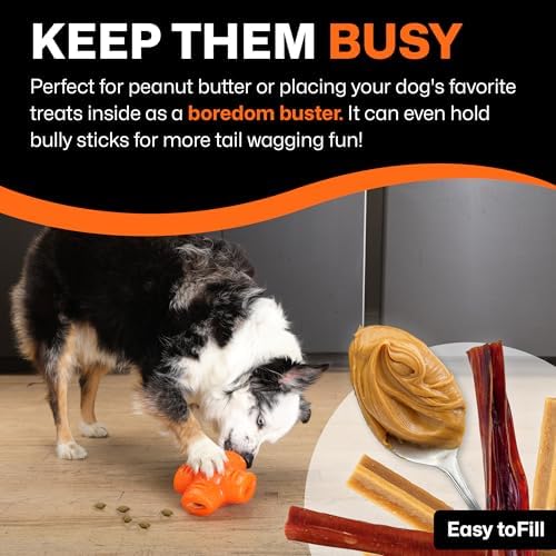 BIONIC Treat Star Dog Toy