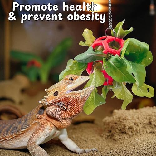 Bearded Dragon Reptile Hammock Enrichment Cage Accessories, Bearded Dragon Feeder Ball and Breathable Mesh Hammock, Lizard Hammocks Lounger Bed Rest and Feed Toy, Reptile Tank Accessories (Red)