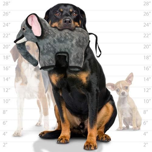 TUFFY® - 2 Pack Original : Elephant Dog Toy : : Ultra Durable Plush Toy with Multiple Layers & Reinforced Seams, Washable and Floats, Original Construction