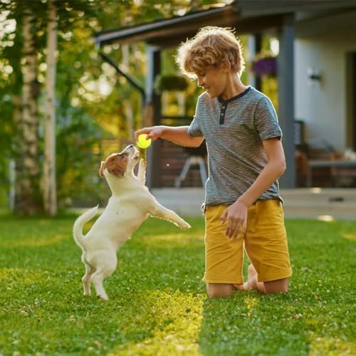 2Inch-Tennis Ball Throwing Refill for Automatic Ball Launcher, Interactive Dog Toys Pet Ball Suitable for Small Dogs Indoor Outdoor Thrower Machine(12PCS Tennis Balls only)