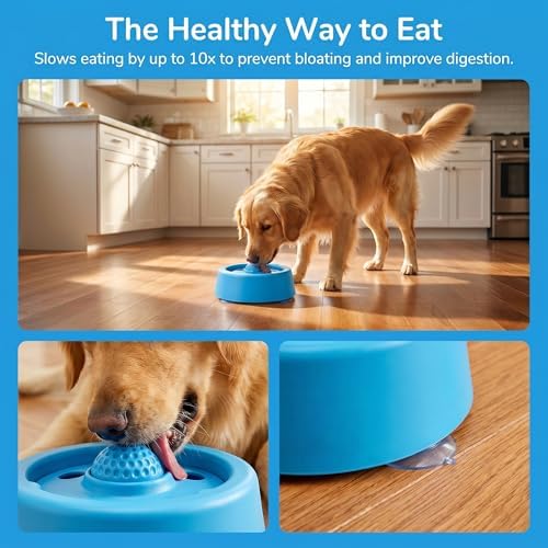 Dog Lick Bowl with Roller Ball, Slow Feeder, Blue