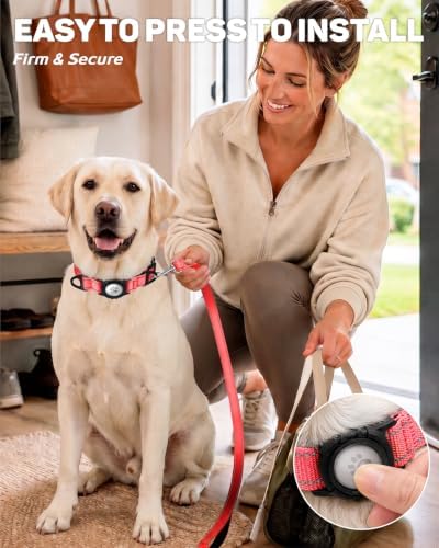 Padded Dog Collar with Waterproof Holder Compatible with Airtag