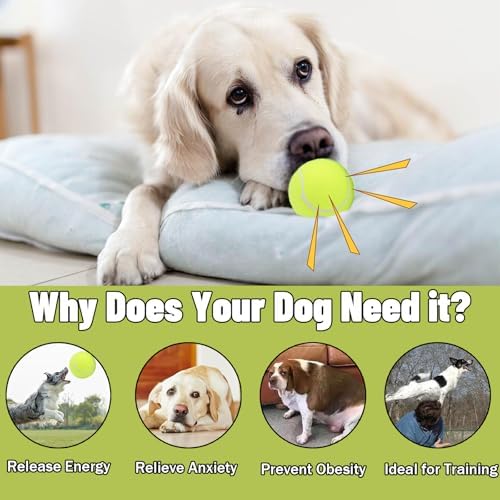 Magicorange Dog Tennis Balls, 40 Pack 2.5 inch Squeaky Tennis Balls