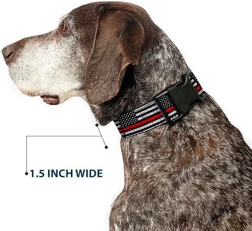 Buckle-Down Plastic Clip Dog Collar