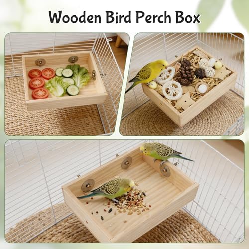 Bird Foraging Toys Box, Wooden Foraging for Bird, Wood Color M