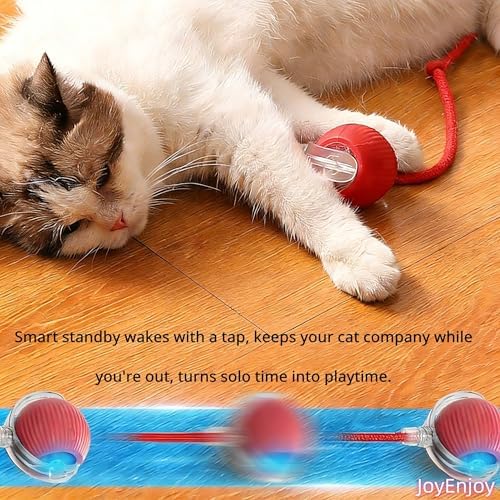 Interactive Cat Toy Rolling Ball with Tail, Motion Activated Indoor Cats