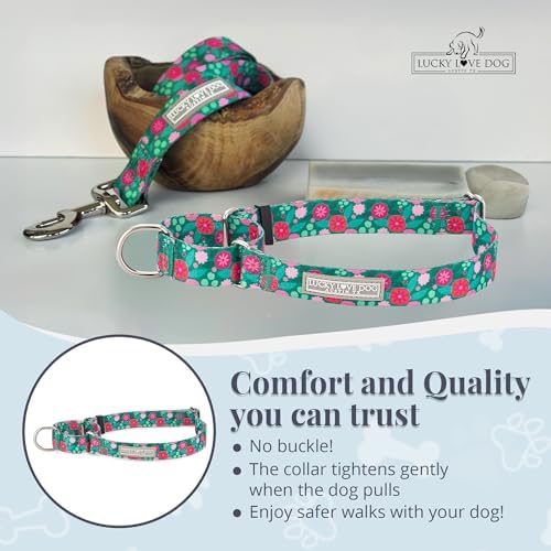 Lucky Love Dog Martingale Collar for Small Dogs No Slip Cute – Penny, Small