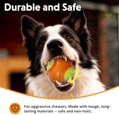 LaRoo Durable Squeaky Dog Ball, 3 Inch TPR Chew Ball Toy for Medium Dogs
