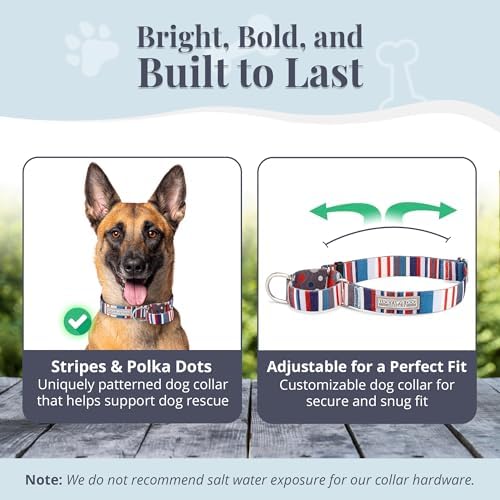 Lucky Love Dog Martingale Collar & Leash Set No Slip Cute – Linus, Large