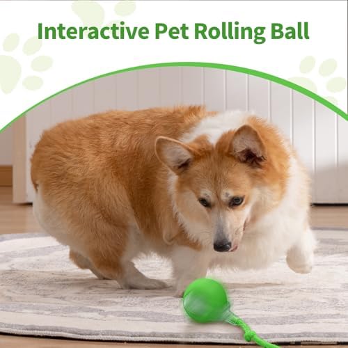 Smart Interactive Pet Toy Ball, Self Rolling Dog Ball Interactive Cat Toys, 360° Smart Automatic Rolling Ball Toy for Dogs Cats Indoor Outdoor Play (Green) 1pcs