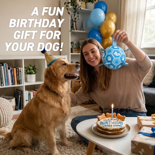 QDAN Dog Soccer Balls Toys : Premium Dog Soccer Ball with Straps, Outdoor Dog Toys, Pet Training Soccer for Medium Large (7 Inch)