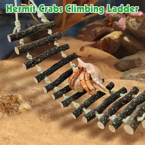 BNOSDM Reptile Bridge 2 PCS Wooden Climbing Ladder Hanging Swing 23.6in