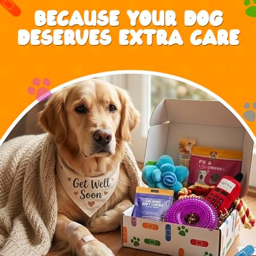 Get Well Soon Dog Gifts, Dog Care Package, Puppy Gift Basket with 3 Dog Treats and 4 Toys, Adorable Puppy Gift Basket, Pet Care Package