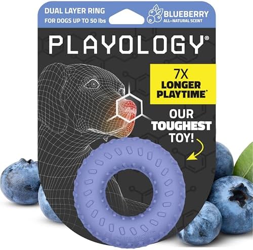 Playology Dual Layer Ring Dog Toy for Aggressive Chewers, Blueberry Scent