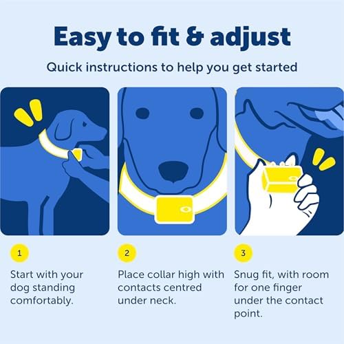PetSafe Bark Collar | Progressive Static Correction, Built-in Safety Feature Prevents Over Correction, Waterproof, Dogs 8 lb+, Necks Up To 27 in