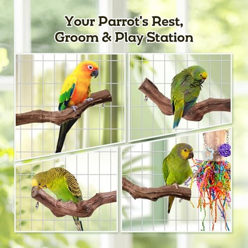 Bird Toys, Parakeet Foraging Toys, Hanging Chewing Toys with Natural Wooden Perches, Bird Cage Accessories, Suitable for Parakeets, Cockatiels, Budgies, Lovebirds & More