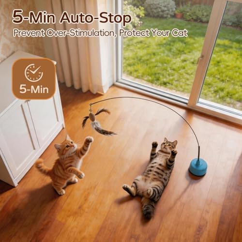 Interactive Cat Toys for Indoor Cats, Auto Cat Toy