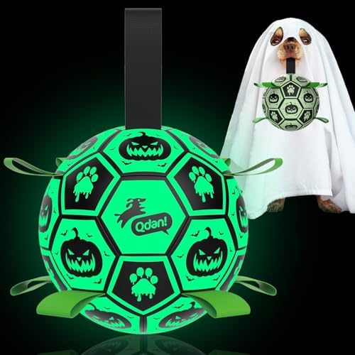 QDAN Glow in The Dark Halloween Dog Toys,Dog Balls with Straps