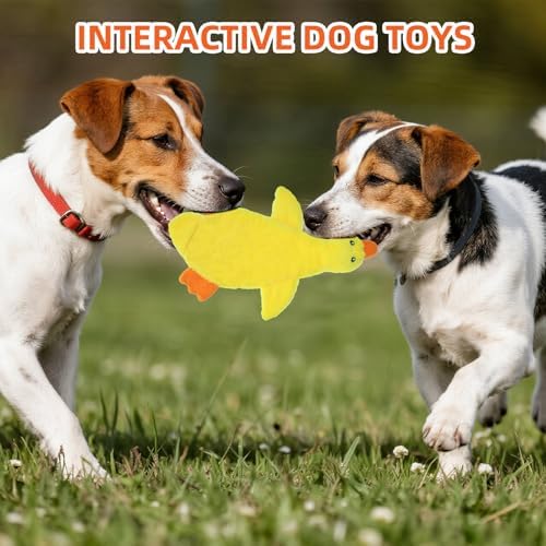 PAWCHIE Squeaky Dog Toys for Small Medium Large Dogs, No Stuffing Crinkle Puppy Toy,Soft Pet Plush Teething Toys 2 Pcs Mess-Free Interactive Chew Toy for Boredom Best Birthday Gift, Yellow & Wild Duck